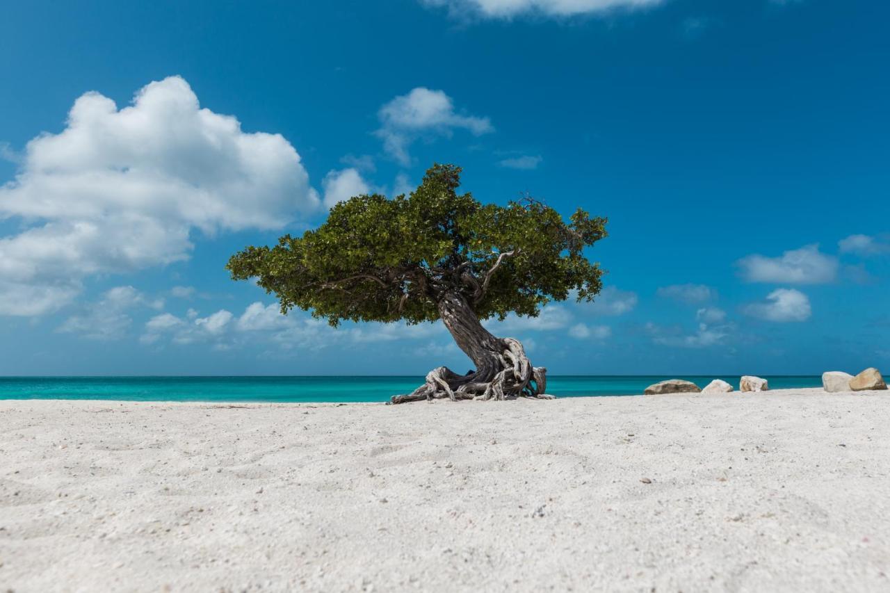 Vila Ruby 15 Palm Beach Exteriér fotografie
